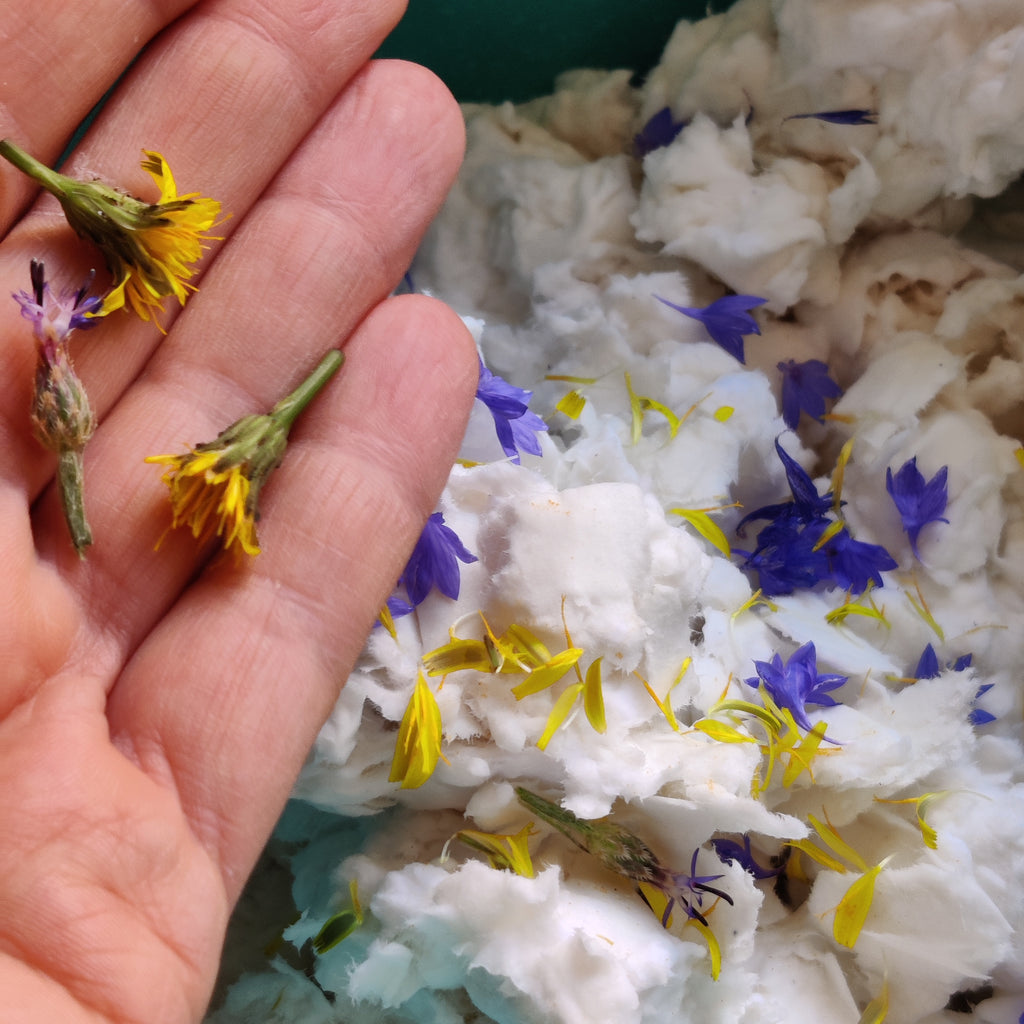 Close-up of real pressed flower petals embedded in paper pulp surface